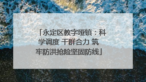 永定区教字垭镇：科学调度 干群合力 筑牢防洪抢险坚固防线